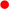 RedDot.png