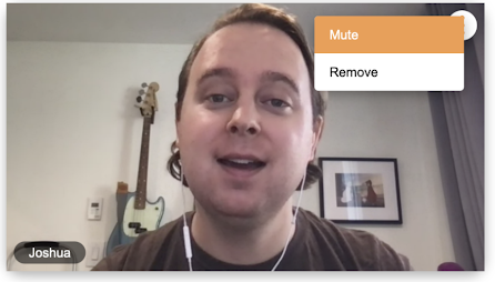 GroupVideo_MuteParticipant.png
