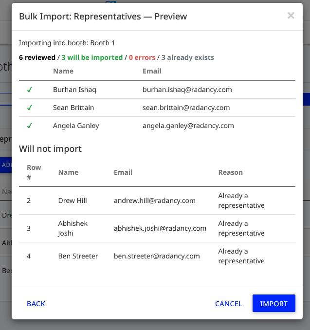 Bulk import preview with results summary